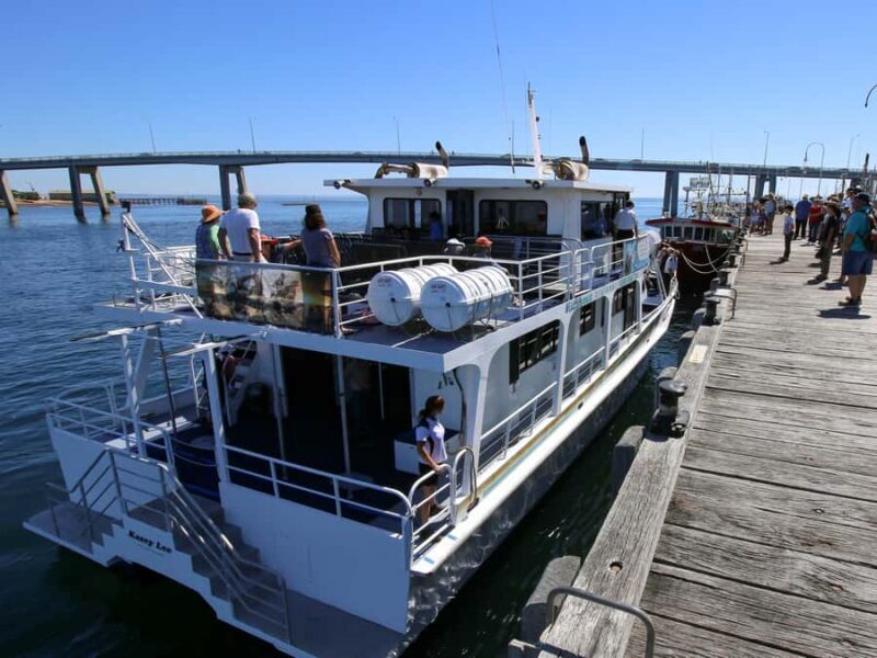 Philip Island: Dolphin and Whale Cruise - A Deep Dive Into the Experience