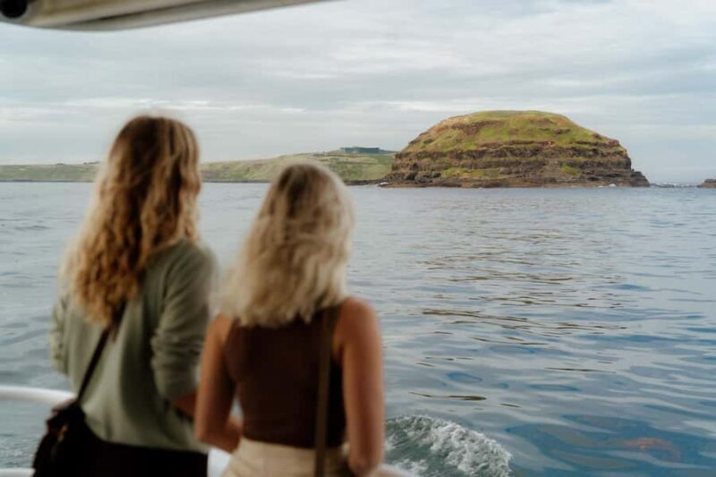 Philip Island: Seal Watching Cruise - The Sum Up: Is It Worth It?