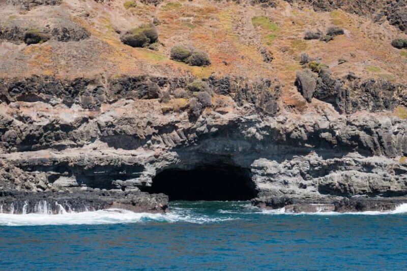 Philip Island: Seal Watching Cruise - FAQ