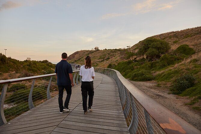 Phillip Island Direct Tour Penguin Parade and Coastal Views - Authentic Experiences and Authentic Feedback