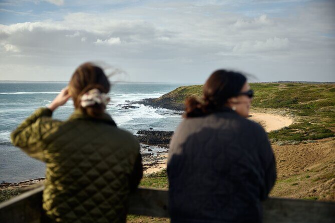 Phillip Island Direct Tour Penguin Parade and Coastal Views - Who Is This Tour Best For?