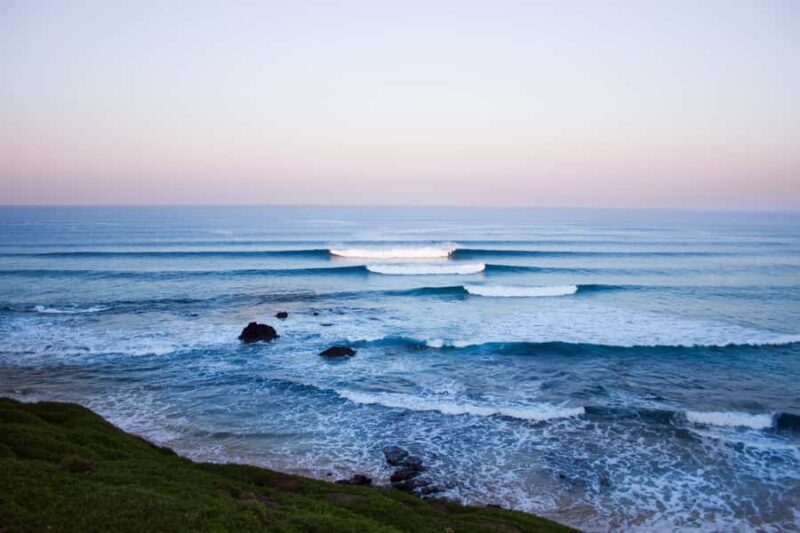 Phillip Island: Hike and Penguin Parade - 8 pax Small Tour - Key Points