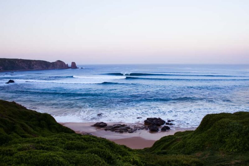 Phillip Island: Hike and Penguin Parade - 8 pax Small Tour - What Makes This Tour Stand Out?