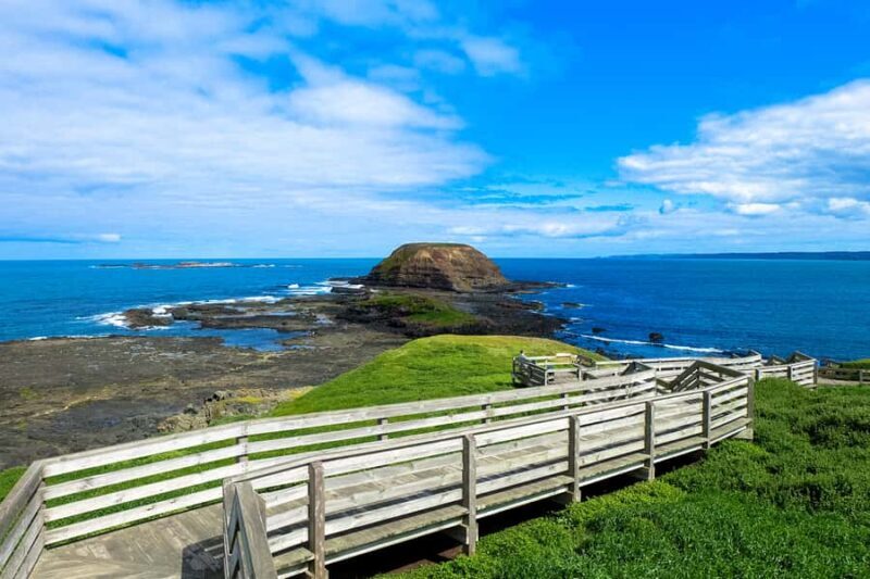 Phillip Island: Hike and Penguin Parade - 8 pax Small Tour - Final Thoughts