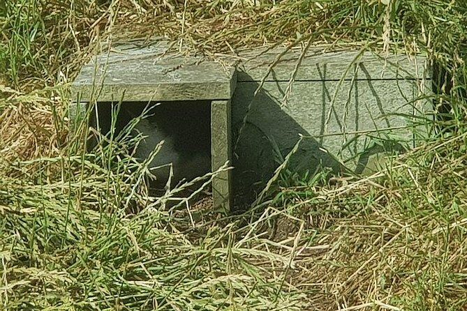 Phillip Island Penguin and wildlife Tour - Practical Tips for Travelers