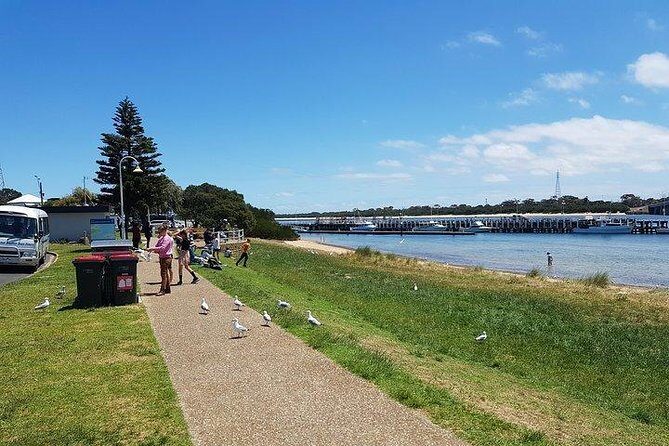 Phillip Island Penguin and wildlife Tour - FAQs