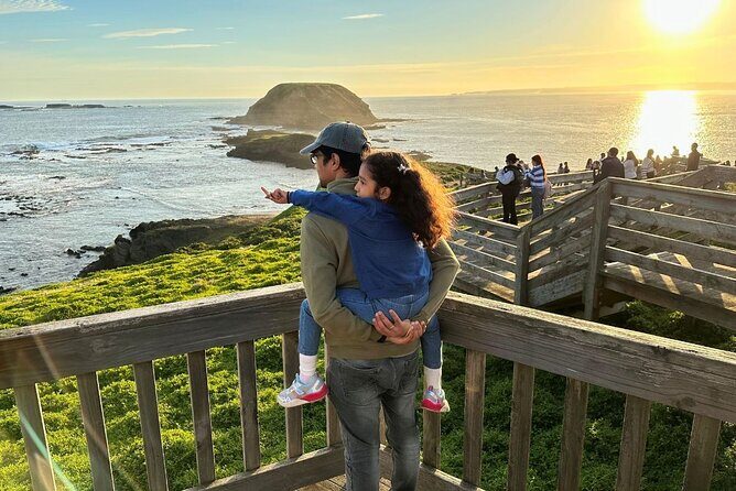 Phillip Island & Penguin Parade Afternoon Eco Tour from Melbourne - The Itinerary in Detail