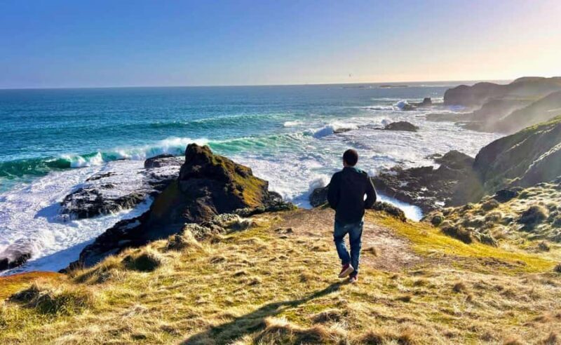 Phillip Island Penguin Parade Afternoon Tour from Melbourne - Key Points