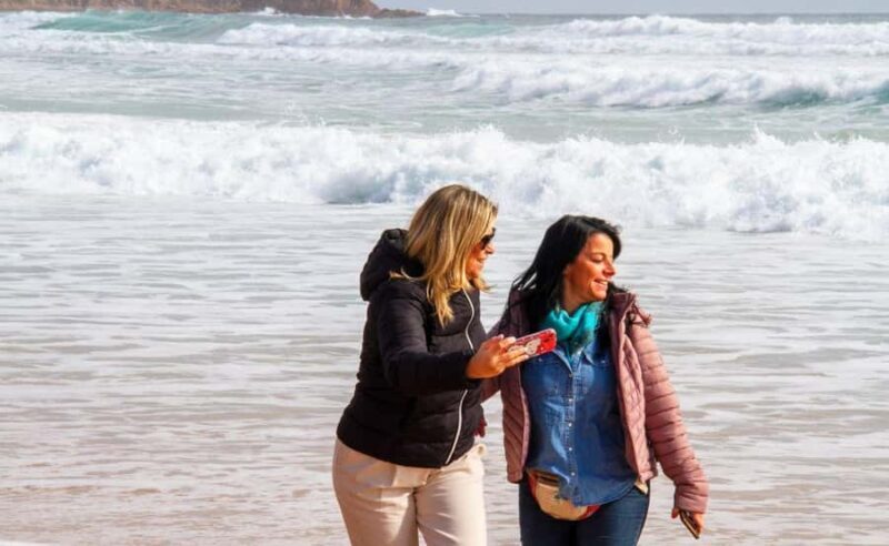 Phillip Island Penguin Parade Afternoon Tour from Melbourne - An In-Depth Look at the Tour Experience