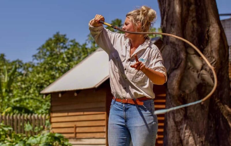 Phillip Island: Penguin Parade and Multi Attraction Pass - What the Tour Offers: A Full Breakdown