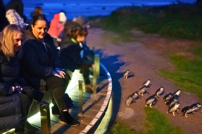 Phillip Island Penguin Parade Express Tour from Melbourne - Authentic Experiences From Travelers