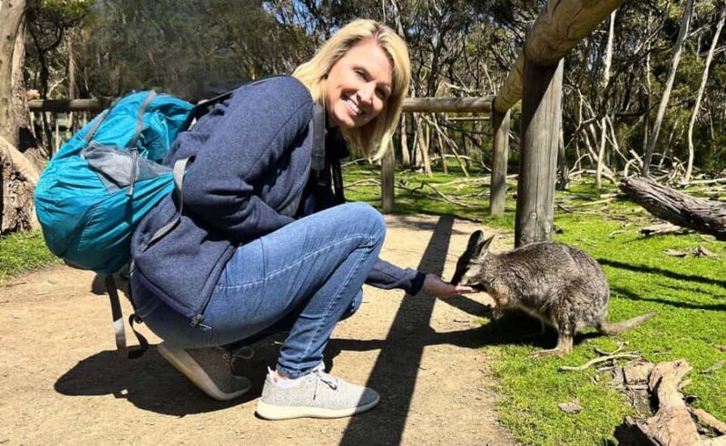 Phillip Island Penguin Parade with Expert Local Guide - FAQs