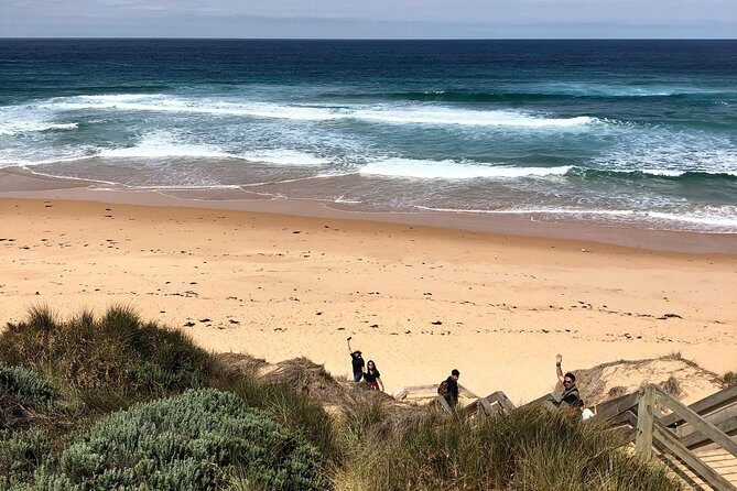 Phillip Island Penguins Private Adventure - The Itinerary in Detail