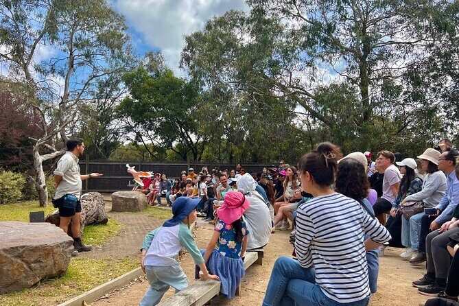 Phillip Island Penguins & Wildlife Day Tour from Melbourne - What Could Be Better?