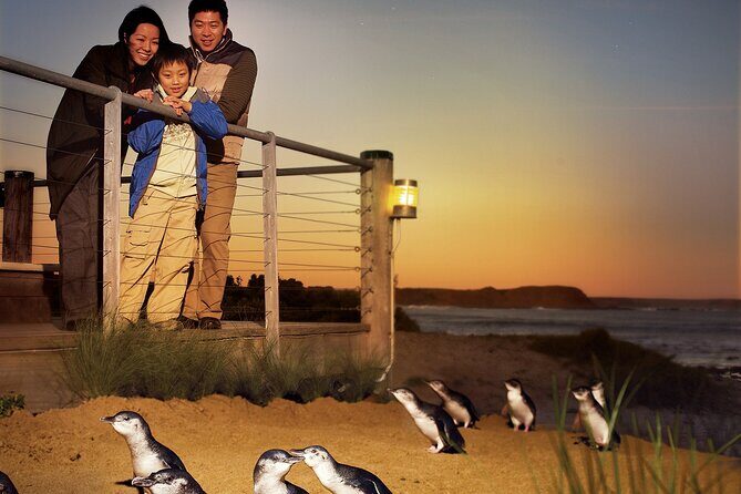 Phillip Island Tour - Koala's, Wallabies & Little Penguins. - Final Thoughts: Who Is This Tour For?