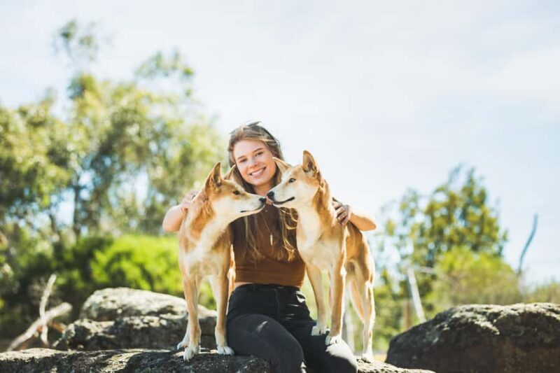 Phillip Island Wildlife & Brighton Beach Boxes Private Tour - FAQs