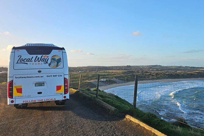 Phillip Island Wildlife Cruise and Penguin Tour from Melbourne - Who Is This Tour Best For?