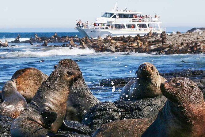 Phillip Island Wildlife Cruise and Penguin Tour from Melbourne - Final Thoughts