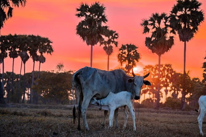 Phnom Krom for Sunset Cycling Tour - The Sum Up