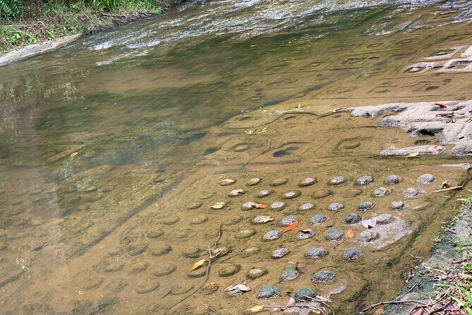Phnom Kulen National Park Tour - Who Should Book This Tour?