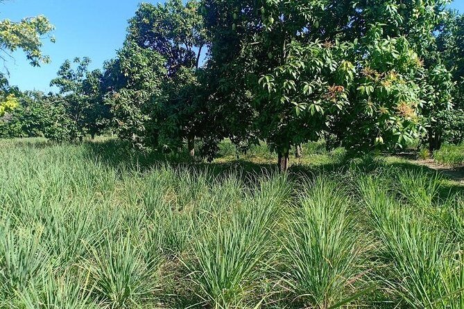 Phnom Penh Countryside Cycle Tour - FAQs