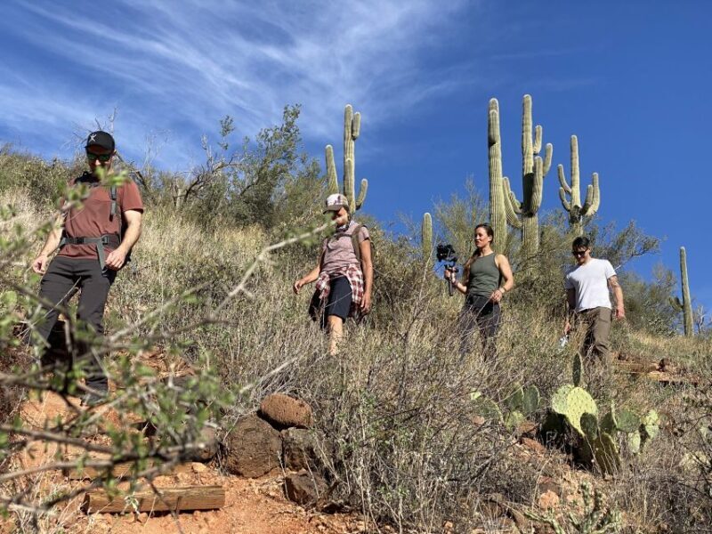 Phoenix: Amazing Two-Hour Guided Hike in the Sonoran Desert - An In-Depth Look at the Guided Hike in the Sonoran Desert