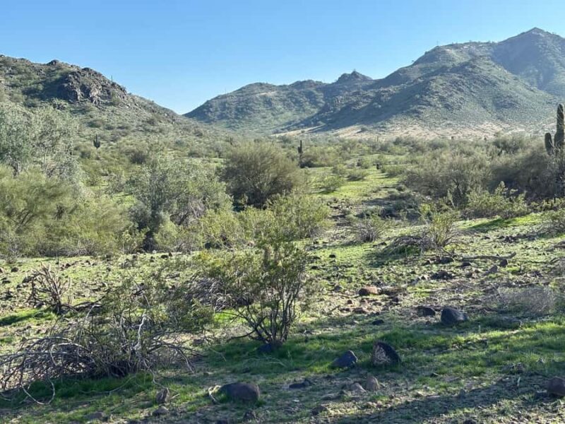 Phoenix: Guided Mountain Bike Adventure in Sonoran Desert - Meeting Point and Logistics