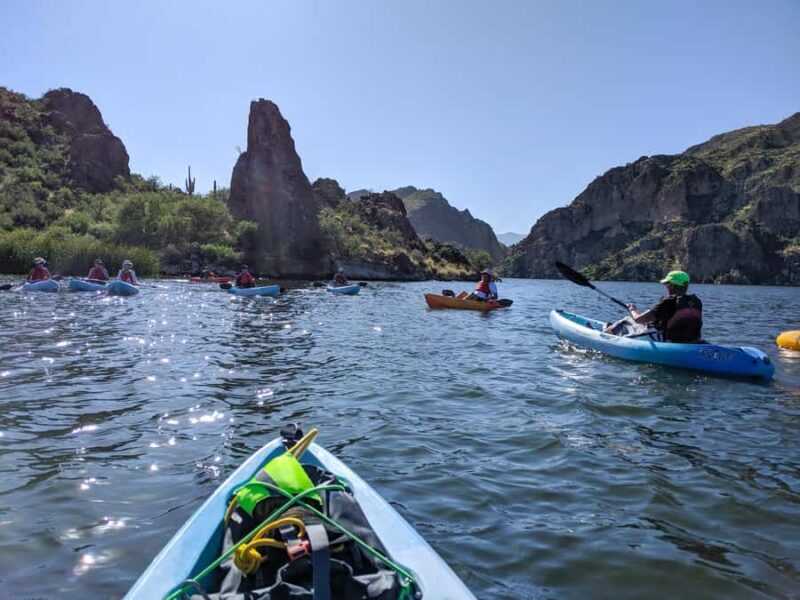 Phoenix/Mesa: Guided Kayaking Trip on Saguaro Lake - What to Expect from the Saguaro Lake Kayaking Tour