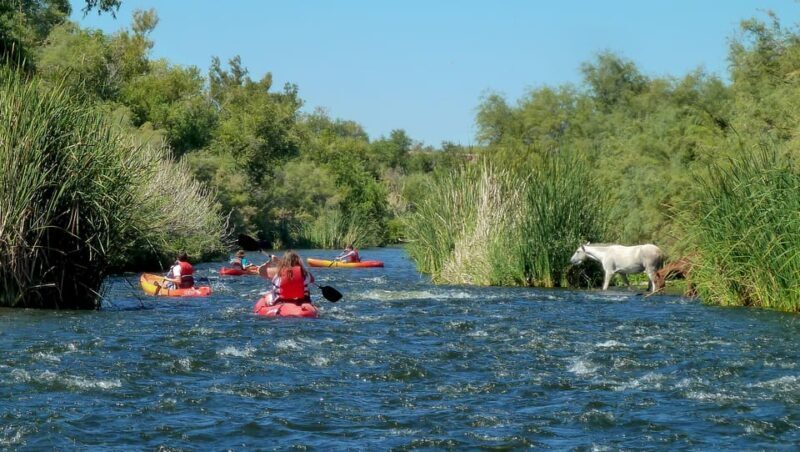 Phoenix: Self-Guided Kayaking Trip to Foxtail - Practical Details & Tips for a Smooth Experience