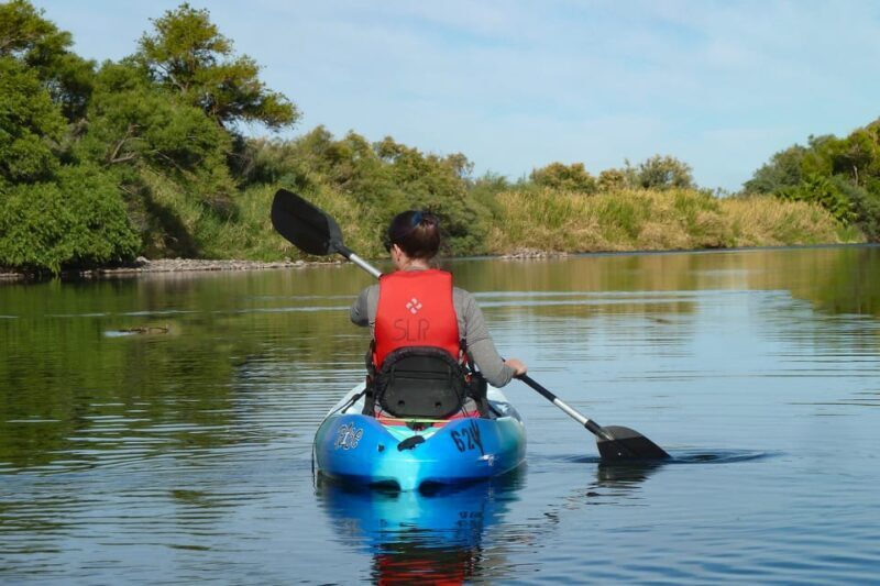 Phoenix: Self-Guided Kayaking Trip to Foxtail - Final Thoughts