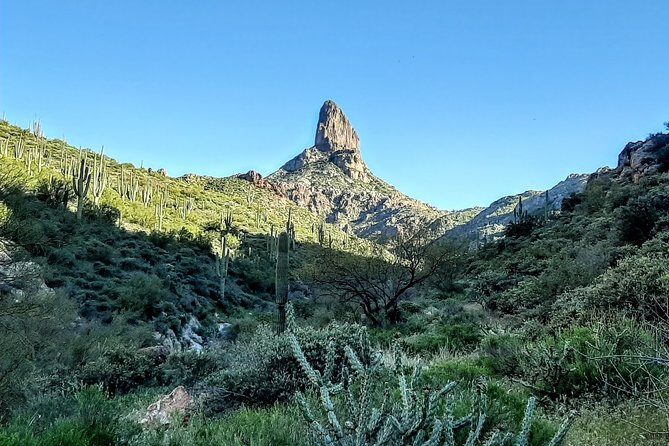 Phoenix Wilderness Hiking Tours - Practical Tips for Your Hike