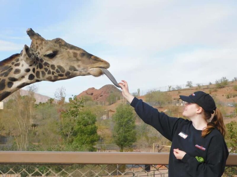 Phoenix Zoo Admission Ticket - Exploring the Phoenix Zoo