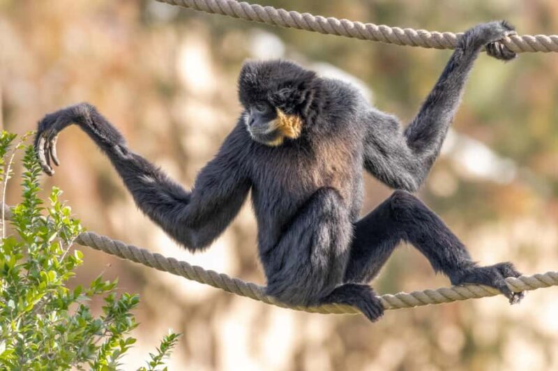 Phoenix Zoo Admission Ticket - What Visitors Say