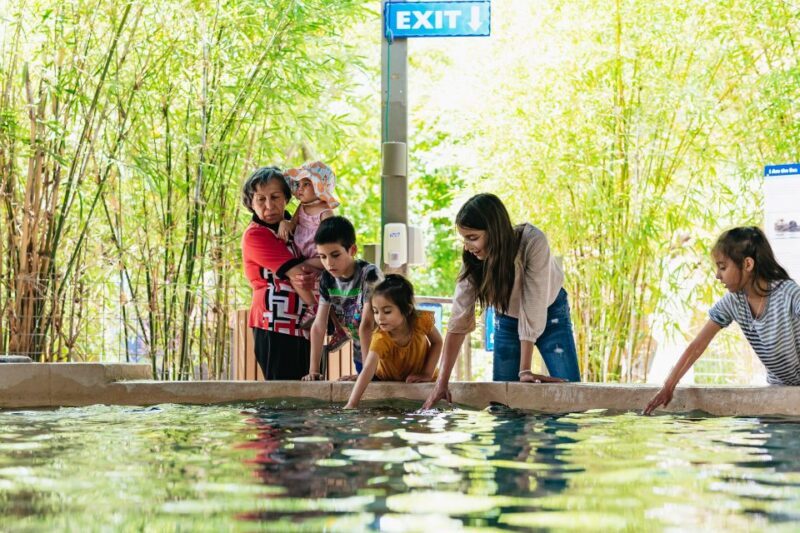 Phoenix Zoo One Day General Admission Ticket - Authentic Experiences and Helpful Insights from Visitors