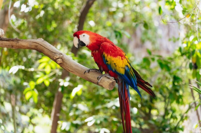 Phoenix Zoo One Day General Admission Ticket - FAQ