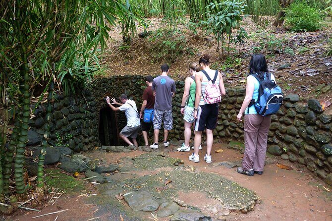 Phong Nha to Hoi An by Private Car with Professional Driver - Practicalities and What You Can Expect
