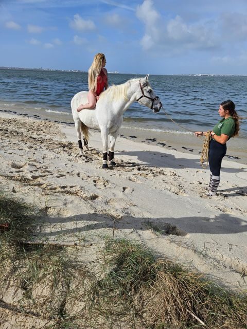 Photo Session With Horses on The Beach or in The Countryside - Key Points