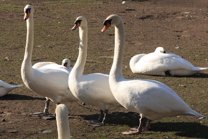 Photo Tour "Jan van Eyck" - FAQ