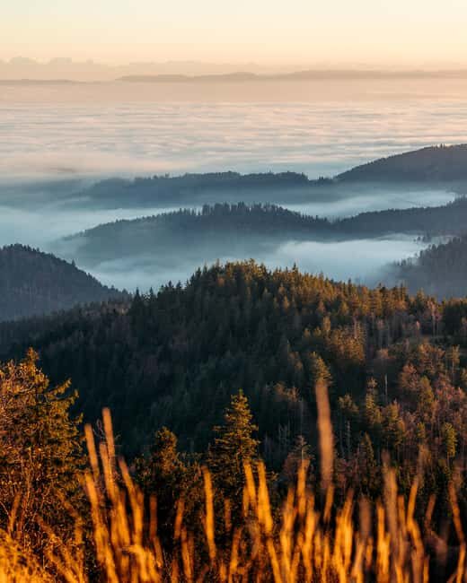 Photo tour through the Black Forest the highlights - An In-Depth Look at the Black Forest Photo Tour