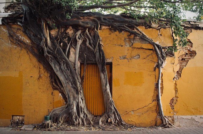 Photo Walking Tour Historic District Mazatlán - Who Should Book This Tour?