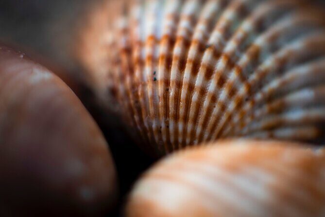 Photo Walking Tour in Sitges - Authentic Reviews and Practical Insights