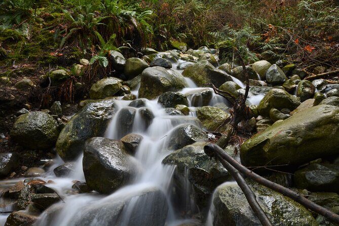 Photography & Advanced Hike to Turquois Lake & Glacier - Frequently Asked Questions