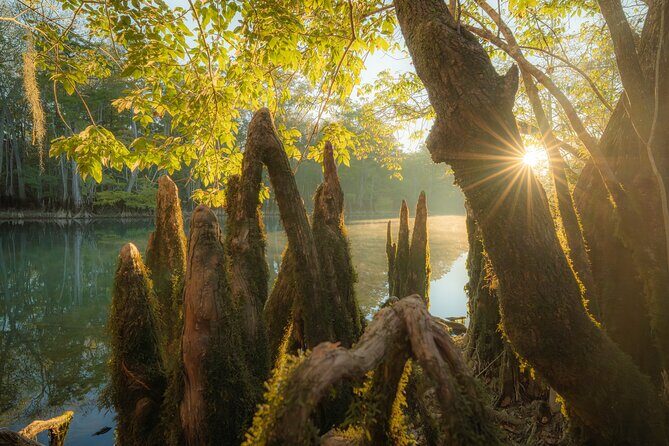 Photography Adventure to Capture Stunning Landscapes - An In-Depth Look at the Photography Adventure
