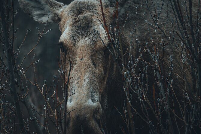 Photography Adventure to Capture Stunning Landscapes - Final Thoughts