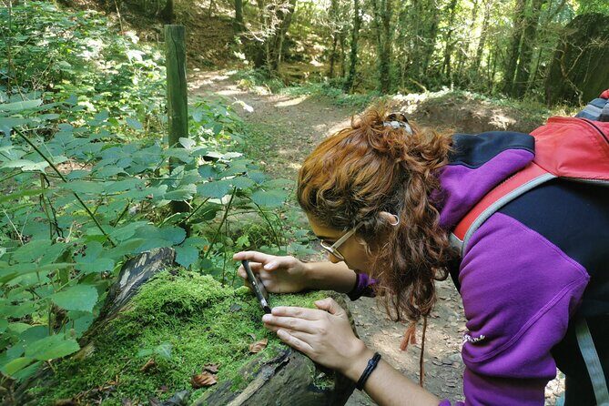 Photography route through the secret nature of Barcelona - The Experience and What It Offers