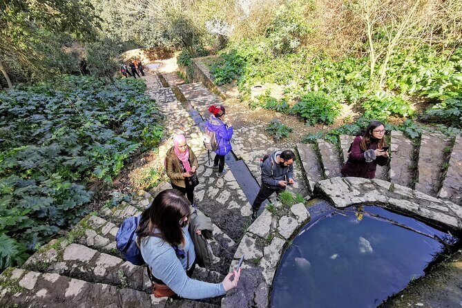 Photography route through the secret nature of Barcelona - Authentic Feedback from Past Participants