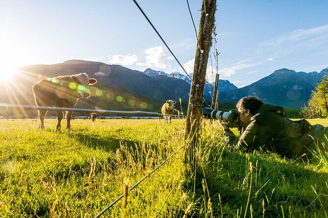 Photography Tour from Queenstown to Glenorchy - 1/2 Day - The Sum Up