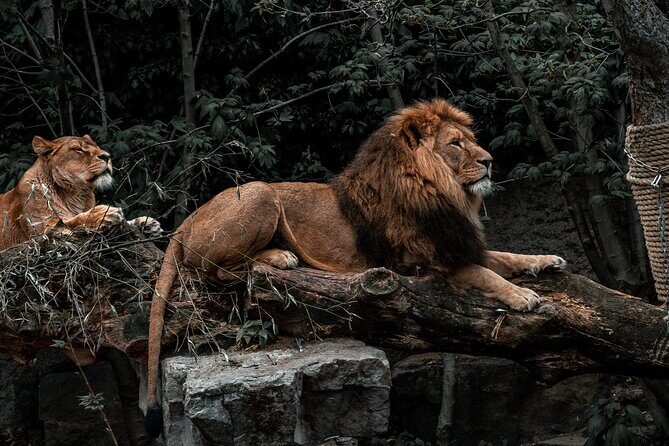 Photoshoot Experience in Amsterdam - An In-Depth Look at the Photoshoot Experience in Amsterdam
