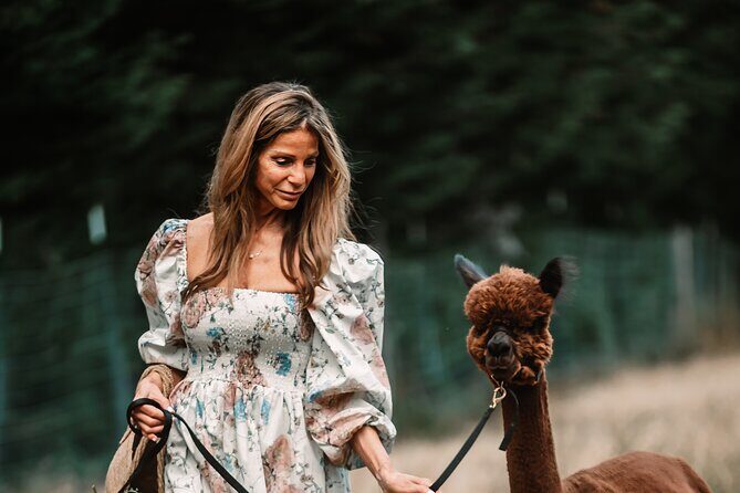 Photoshoot with Alpacas and Farm Experience near Seattle - Introduction