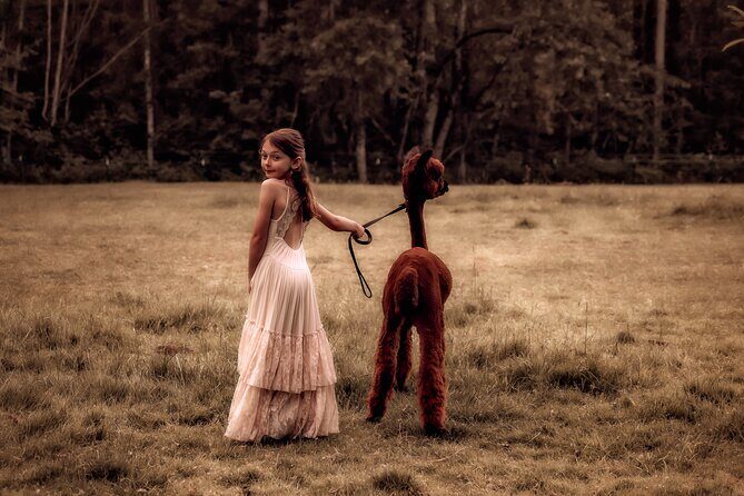 Photoshoot with Alpacas and Farm Experience near Seattle - Key Points